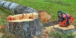 Best Firewood Processing and Delivery  in Dry Ridge, OH