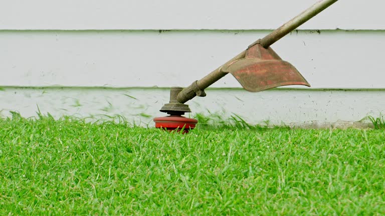 Best Hedge Trimming  in Dry Ridge, OH