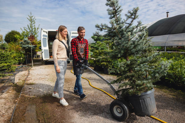 Best Leaf Removal  in Dry Ridge, OH